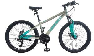 Bicicleta MTB R24 Overcross MONTANA Gris/Verde