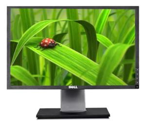 Monitor 19 DELL TFT 1440p 5ms Ref G:1A