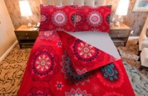 Sabanas 2P COTTON FLOR QUEEN 100% Algodon